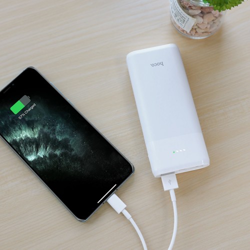 J61 Companion Fully Compatible Mobile Power Bank (10000mah)