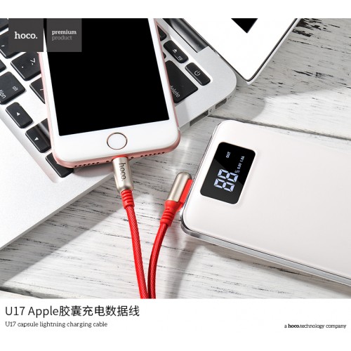 U17 Capsule Lightning Charging Cable（L=2M )